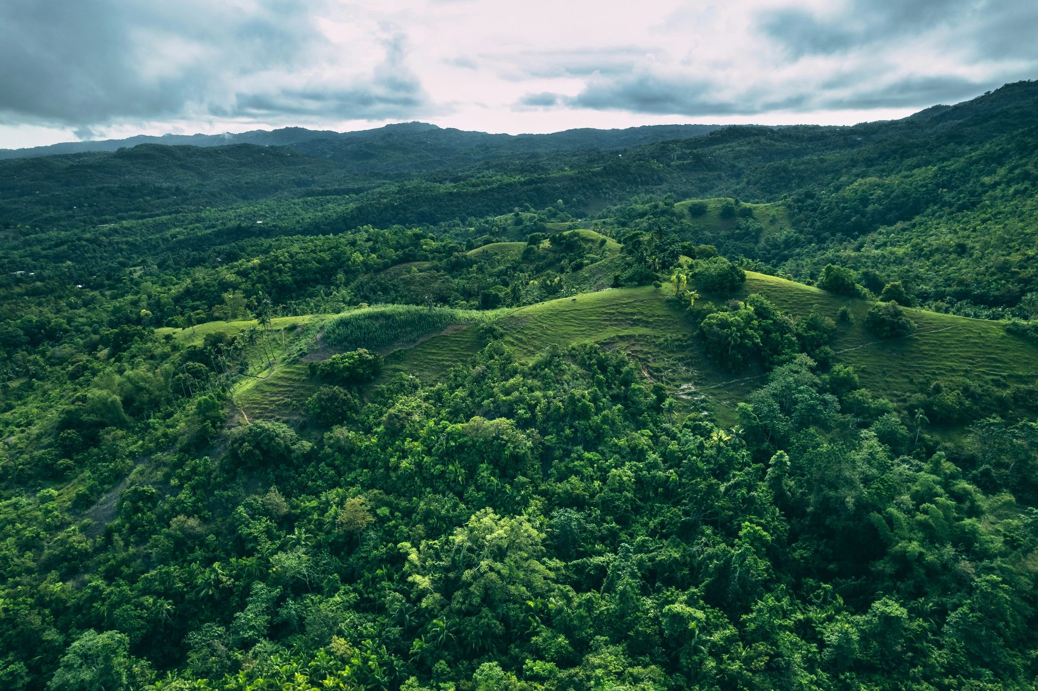 Lush tropical hills and forest representing place-based eco-project development